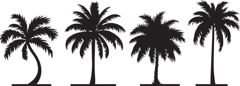 palm or coconut trees vector illustration set on white background. (eps). nature, relaxation, peace, luxury, elegance concept.