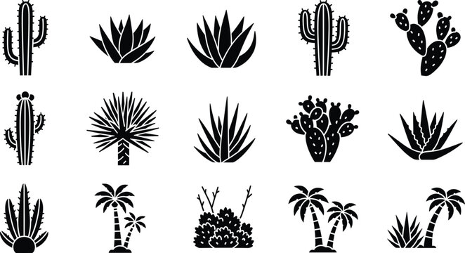 Vector set of black cactus silhouettes agave plants and palm tree icons isolated on white background for minimalist desert landscape design and nature logos