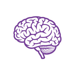 A purple line drawing of a human brain showcasing cerebral cortex details