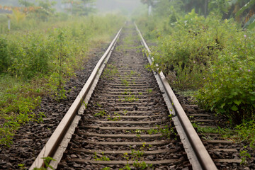Straight railway track perspective vanishing into a foggy morning mist surrounded by green wild plants. Moody and tranquil landscape photography representing journey, path, and travel.