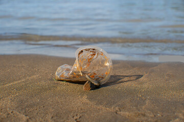Obraz premium A discarded plastic cup lying on a sandy beach shore, highlighting the issue of environmental pollution, plastic waste, and the need for ocean conservation.