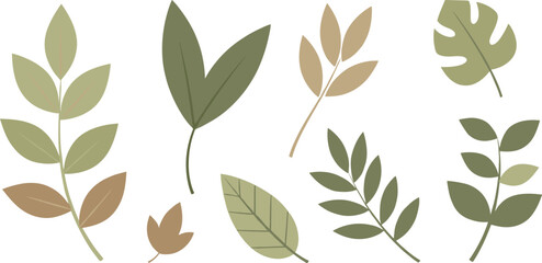 Flat Botanical Leaf Illustration Set With Modern Minimal Foliage Elements In Soft Natural Colors Isolated On White Background