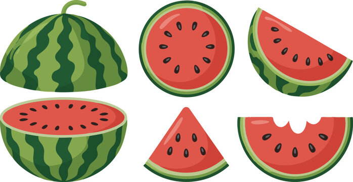 Watermelon summer fruit clipart set. Tropical fruit watermelon drawing in whole, slice and cut elements clip art collection vector illustration.