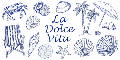 A collection of hand drawn summer elements crab shells beach chair and tropical fruits © Rina