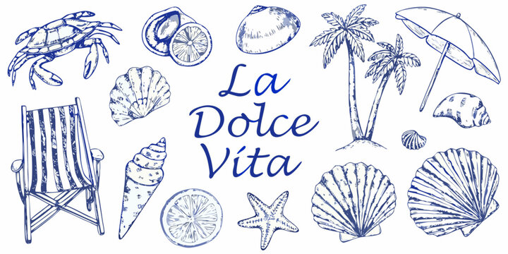 A collection of hand drawn summer elements crab shells beach chair and tropical fruits