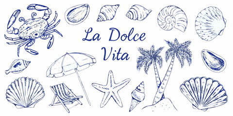 A charming collection of seaside sketches shells crab palm tree and beach items © Rina
