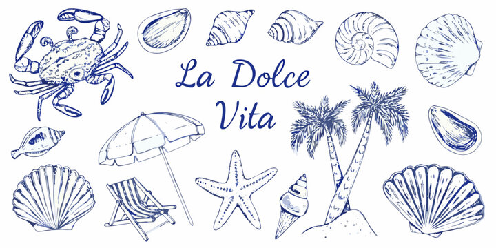 A charming collection of seaside sketches shells crab palm tree and beach items