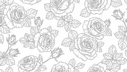 Black and White Rose Illustration.