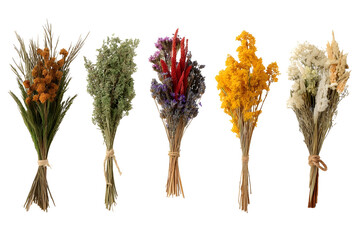 Set of dried flower arrangements isolated on white background