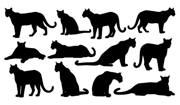 Minimal puma silhouette vector icons set for logos and modern design