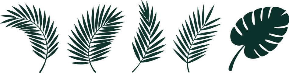 Beautiful palm tree leaf set silhouette background vector illustration © BK2003