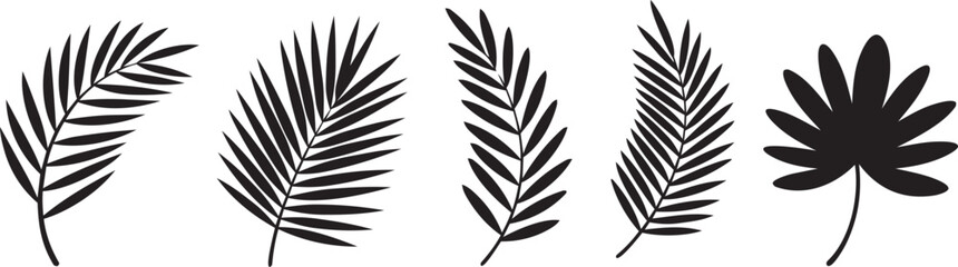 Beautiful palm tree leaf set silhouette background vector illustration © BK2003