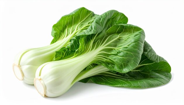 Fresh green bok choy or pak choi isolated on white background
