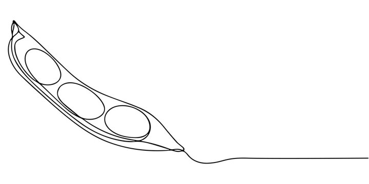 Fava beans continuous one line drawing, Fava beans continuous one line art drawing organic fava beans, pro vector illustration isolated on white background. beans vector pattern for vegan, One line