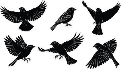 Obraz premium Set of black sparrow silhouettes flying and perched, isolated bird vector elements for wildlife design, nature graphics, and logo branding.
