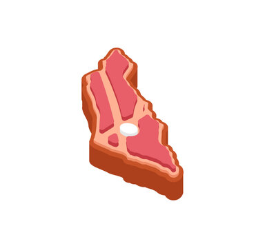 beef steak shaped like the geographical map of Israel. Creative food concept for Israeli cuisine, kosher meat production, or Middle Eastern gastronomy. Isolated isometric vector illustration