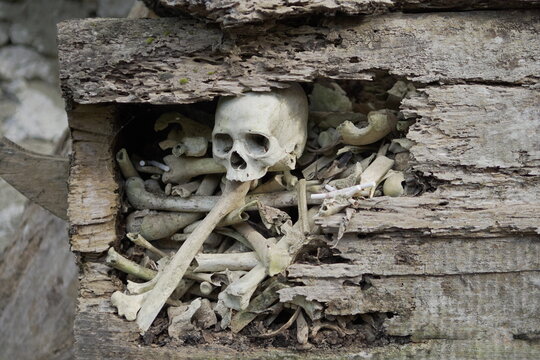 a traditional grave on the tana toraja 