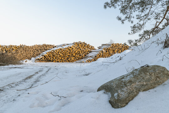 Stacked pulpwood and paperwood logs in winter log yard, frozen timber storage during cold season showing forestry raw material and fuel supply