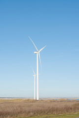 Fototapeta premium Wind turbines stand tall in a field under a clear blue sky.