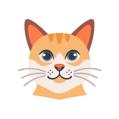 Obraz premium cat portrait 