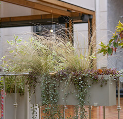 balcony with flowers