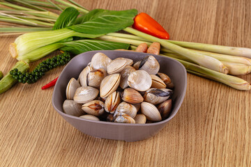 Raw fresh wild clams mollusc © Andrei Starostin