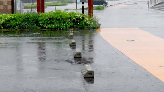 大雨の降る駐車場を傘をさして歩いて行く男性