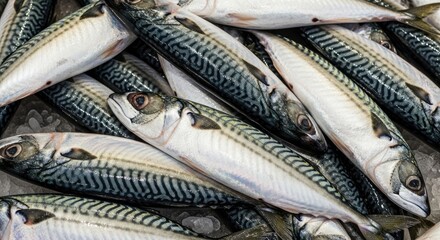 Fresh mackerel fish in a pile on a market counter.
