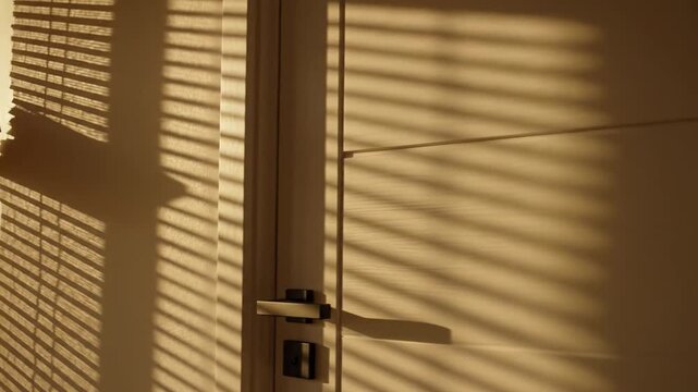 Abstract pattern of light and shadow plays across a smooth wall next to a white door, illuminated by warm, late afternoon sun filtering through window blinds.