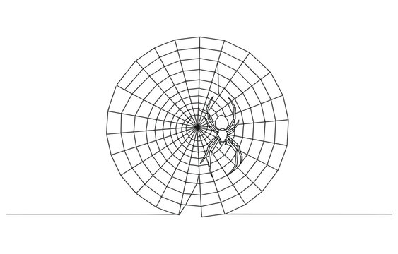 continuous drawing of a spider weaves a web in one line.