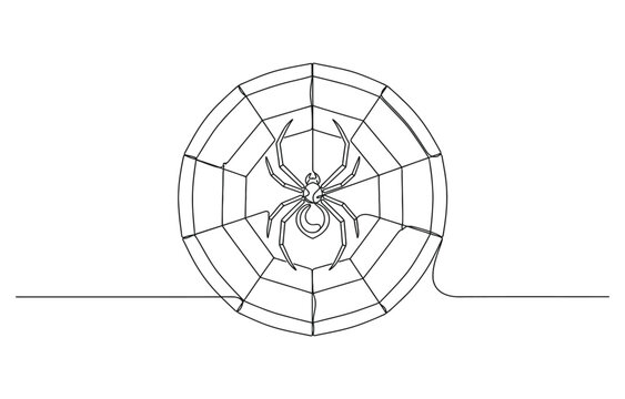 continuous drawing of a spider weaves a web in one line.