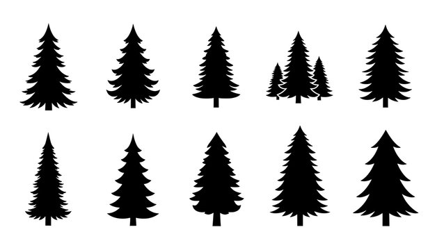 Fir tree and pine tree vector icon set isolated on white background