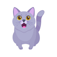 Obraz premium A lilac British cat looking up. The cat opened his mouth with a mad look. The concept of an animal that is surprised or amazed. The figure of a cat on ... See More 