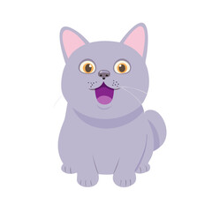 Obraz premium A lilac British cat looking up. The cat opened his mouth with a mad look. The concept of an animal that is surprised or amazed. The figure of a cat on ... See More 