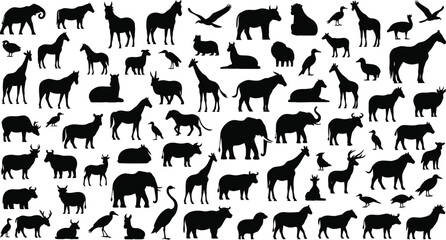 Fototapeta premium A collection of various animal silhouettes against a white background silhouette
