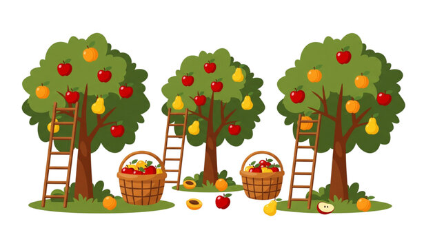 Cartoon orchard trees with apples, pears, and apricots vector illustration set