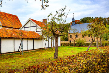 Back Courtyard With Some Trees