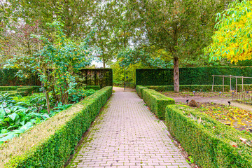 Obraz premium Cobblestone path between green bushes in botanical garden with few plants, patio fragrant with cultivated plants, autumnal trees in background, yellowish-green foliage, cloudy day in Belgium