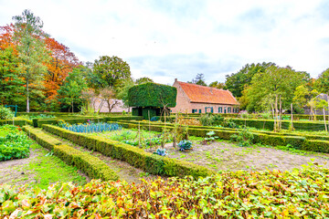 Farm Vegetable Garden With Edible