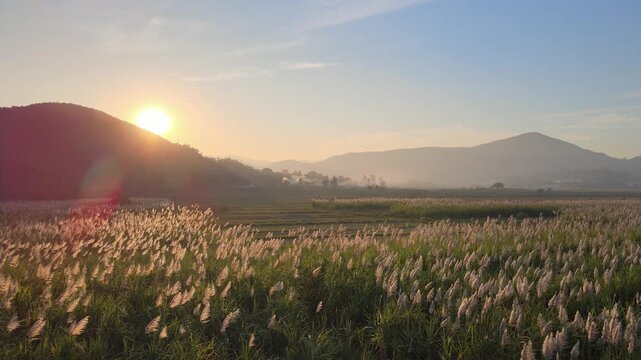Araku Valley Visakapatanam