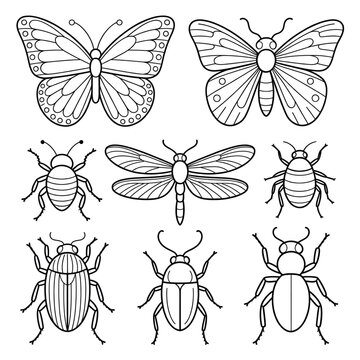 Insects set illustration vector style coloring page 
