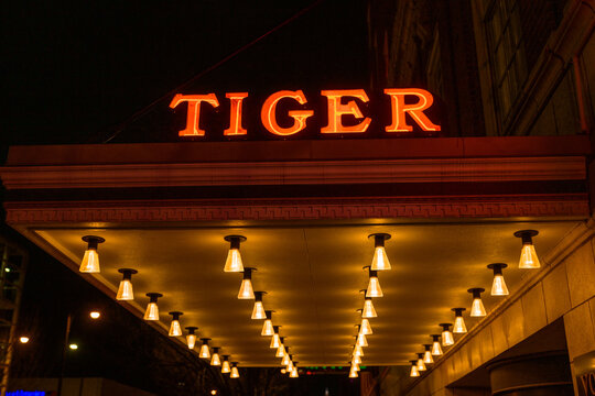 Tiger Hotel Neon Sign in Columbia, Missouri
