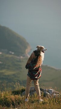 A female tourist hiker and her adorable border collie dog on her shoulders a wild rocky terrain against a backdrop of picturesque mountain scenery and sea shore. Travel, recreation, and tourism with