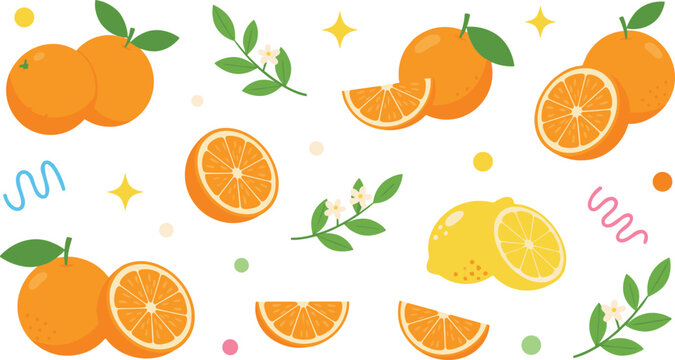 Sticker style citrus fruit set with oranges and lemons, slices, leaves and blossoms, fresh summer vector illustration