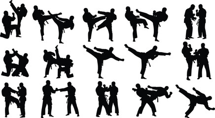 martial arts silhouettes, karate fighters kicking punching poses, combat training illustration, isolated black figures, white background, action collection © Its Sohan
