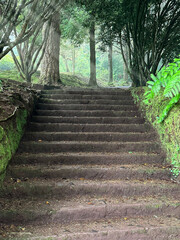 Calderao Verde route, Madeira, Portugal