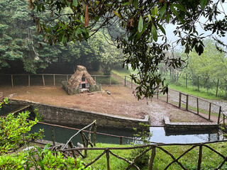 Calderao Verde route, Madeira, Portugal