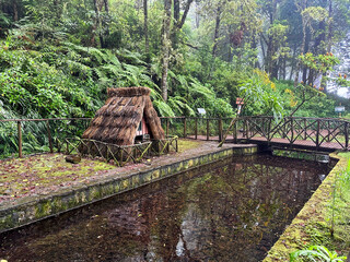 Calderao Verde route, Madeira, Portugal
