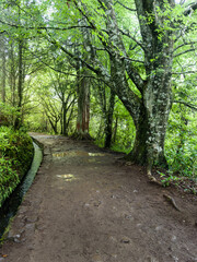 Calderao Verde route, Madeira, Portugal