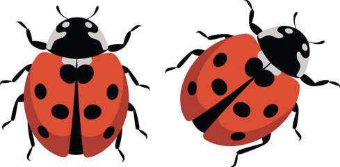 Naklejka premium Ladybug illustration, insect drawing, red beetle art, nature bug clipart, top view ladybug, cartoon insect, educational graphic, white background